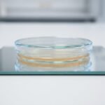 Mirror Life: Why Scientists Want a Halt on Mirror Bacteria