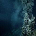 Origin of Eukaryotes: Did Energy Make Complex Cells Possible?