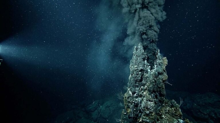 Origin of Eukaryotes: Did Energy Make Complex Cells Possible?